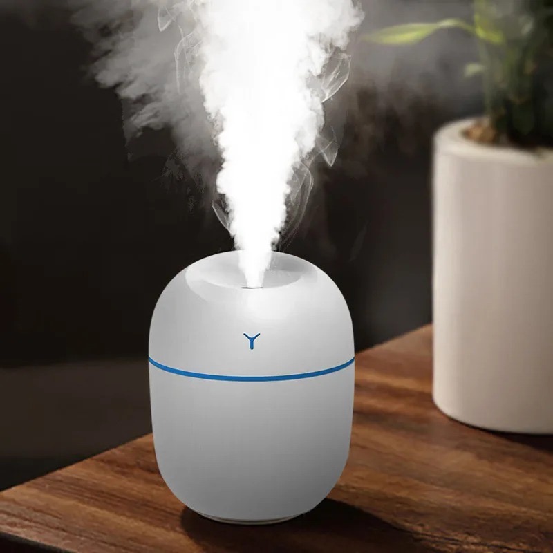Mini Portable Humidifier - 220ml